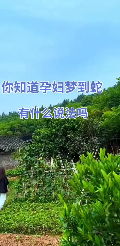 女人梦见脚踩蛇预示着什么-梦见脚踩蛇预示吉凶