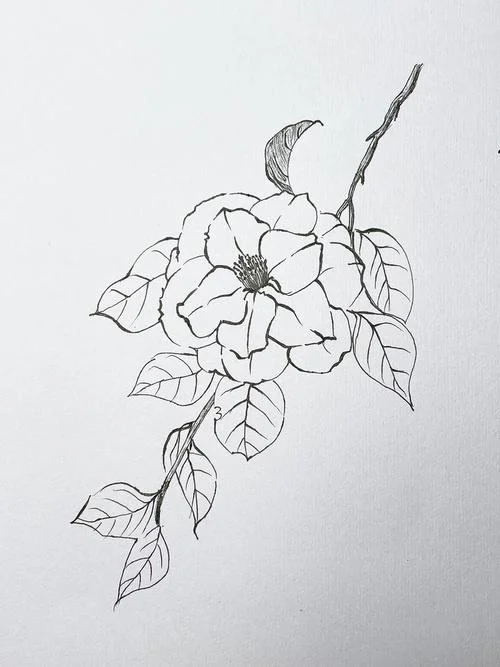 茶花简笔画图案_2