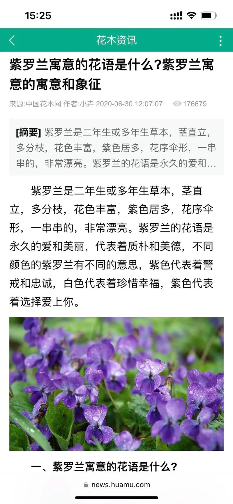 紫罗兰的花语文案_1