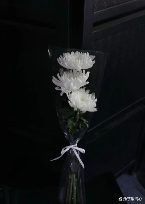 给逝去的人送什么花_2