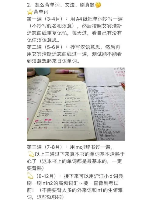 考研243日语网课-243日语考研网课