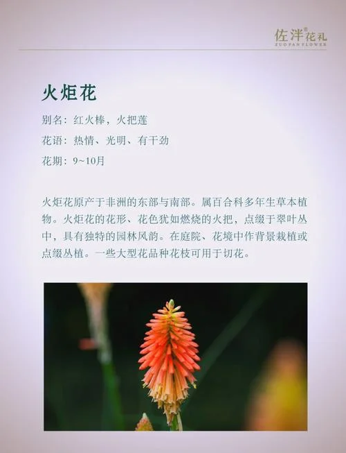 心花怒放是指什么_1