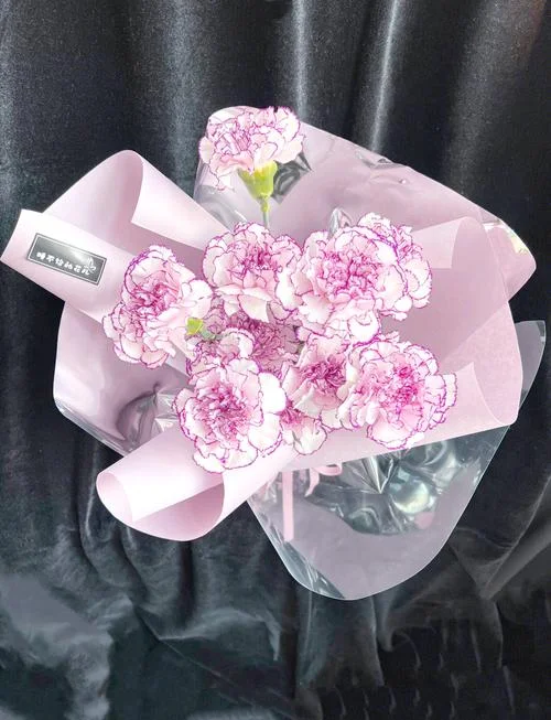 女朋友母亲过生日送什么礼物-女朋友母亲生日送礼