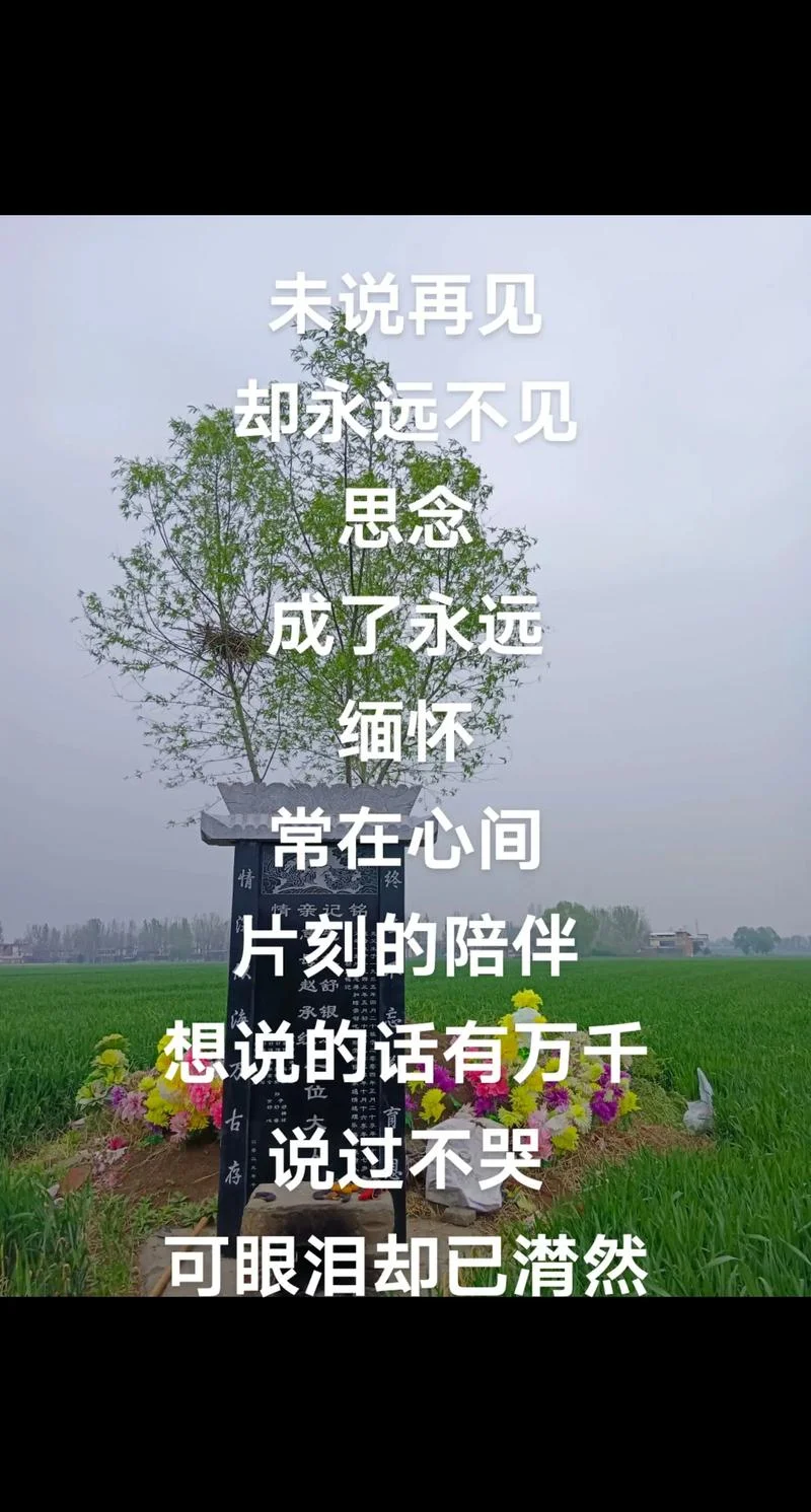 再见不如怀念下一句_1