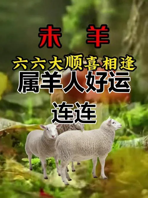 属羊下半年的运势如何_1