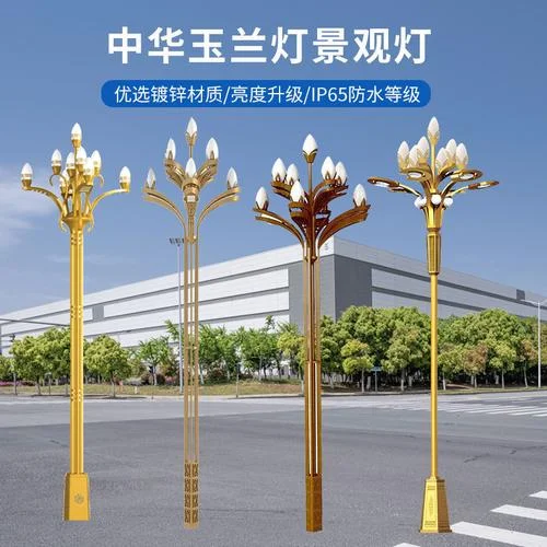 梦见路灯和店里的灯停了_2