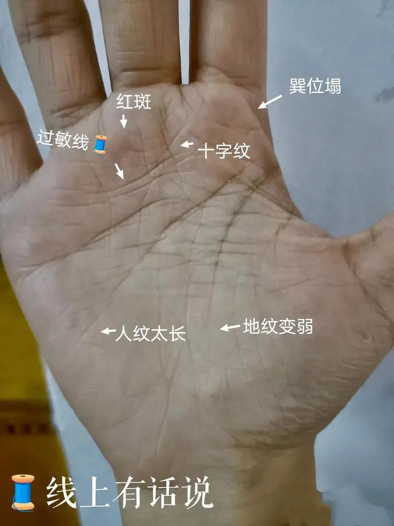 测手相扫一扫拍照_2