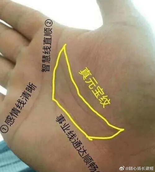 男人能中彩票的手相-男中彩票手相准