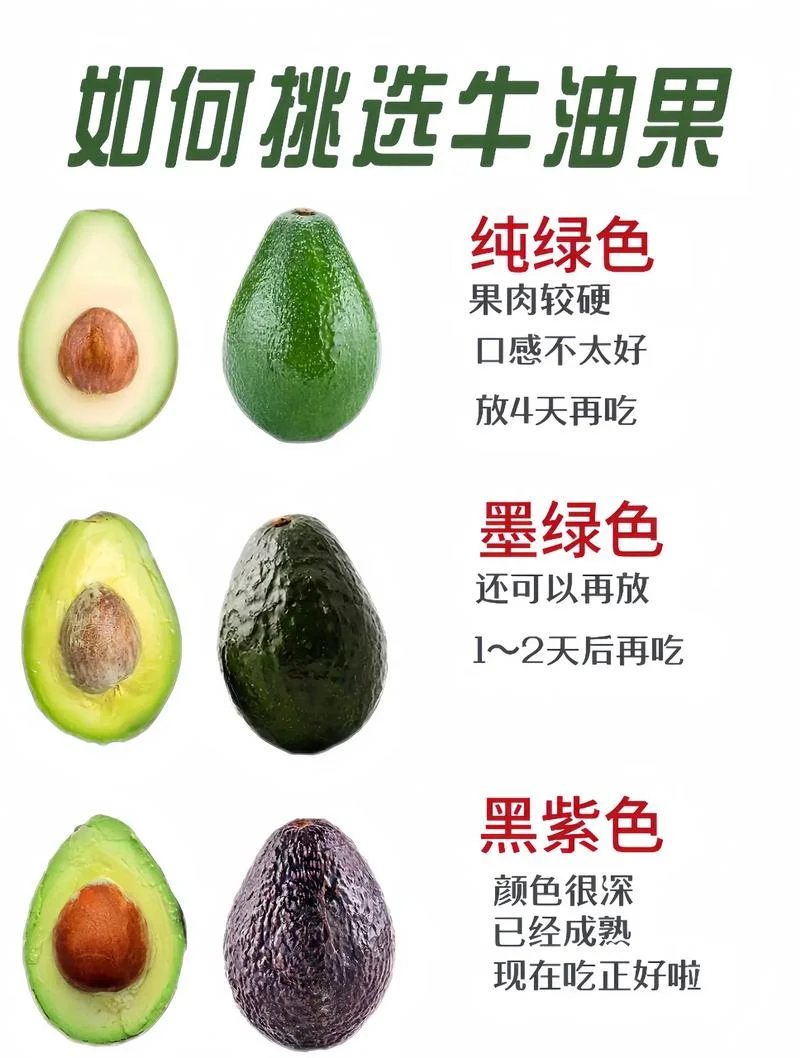 牛油果几月份成熟-10月成熟