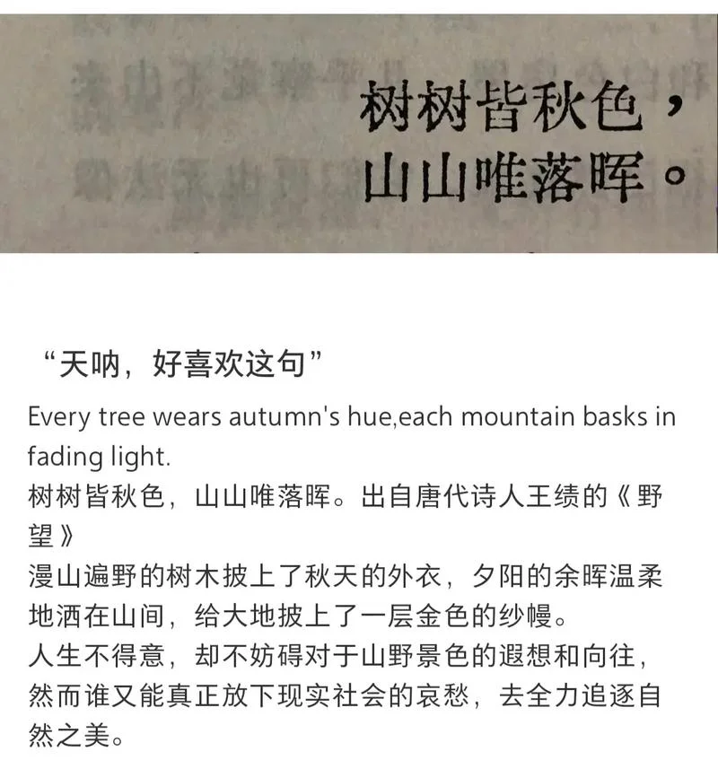 树木丛生下一句古诗_2
