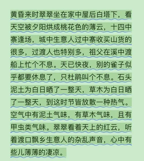 边城的读后感300字_1