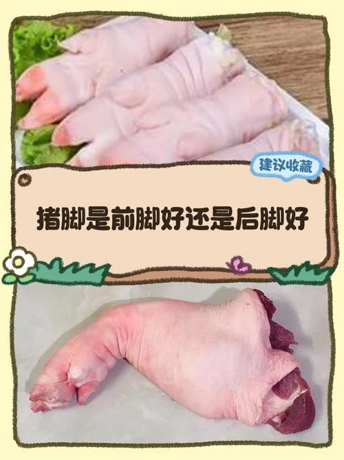 男人都是大猪蹄子出处_1