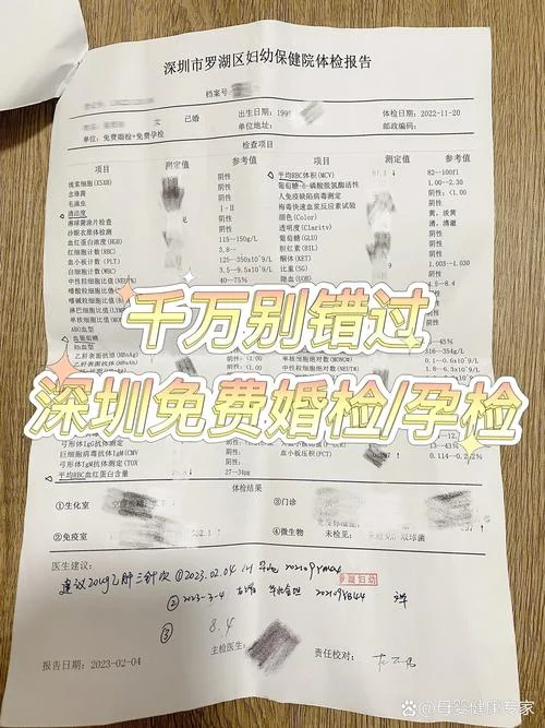 婚检报告在哪里可以查_1