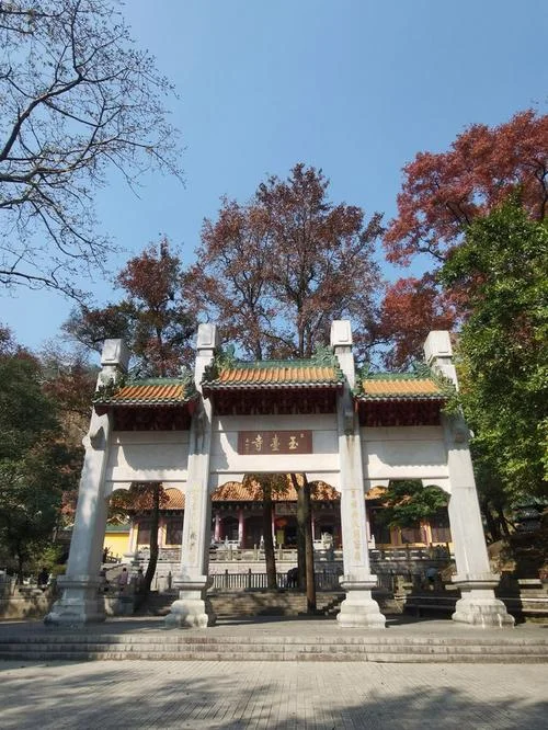 江门新会旅游景点推荐-新会旅游必去景点