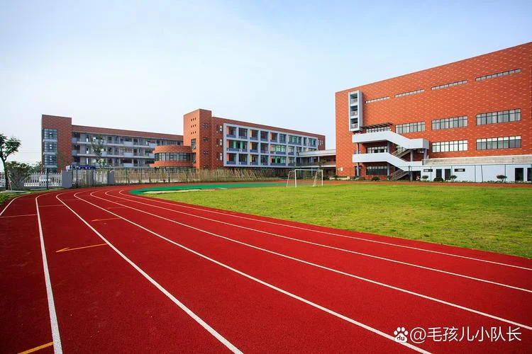 乐清市白石中学_1