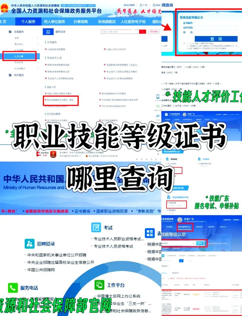 普通话技能证书怎么查_1