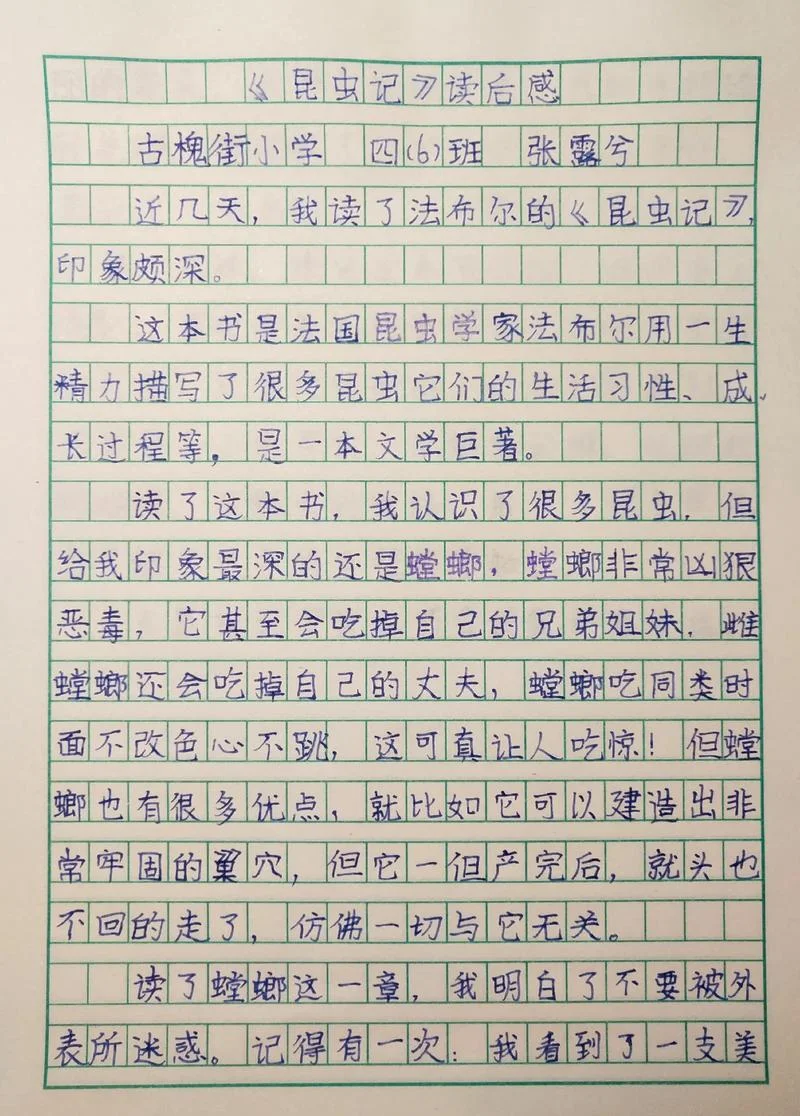 思想感悟400字_2