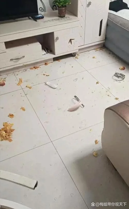 梦到和亲人吵架摔东西_1
