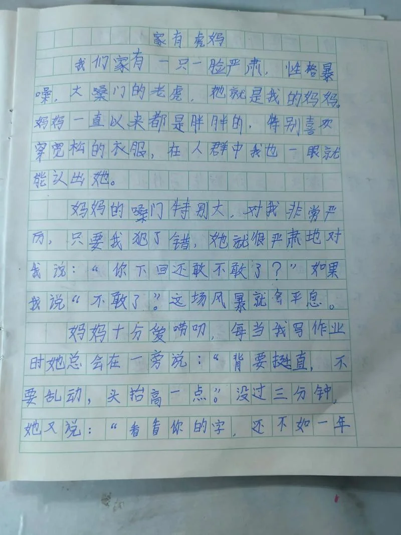 描写老虎的作文怎么写_1