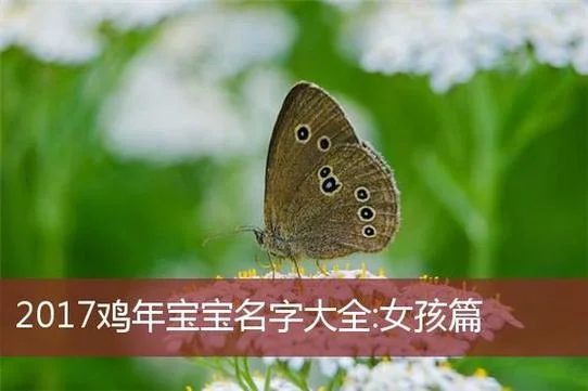 起名字 女孩鸡年_2