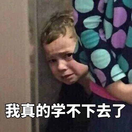 学不可以已的出处_2