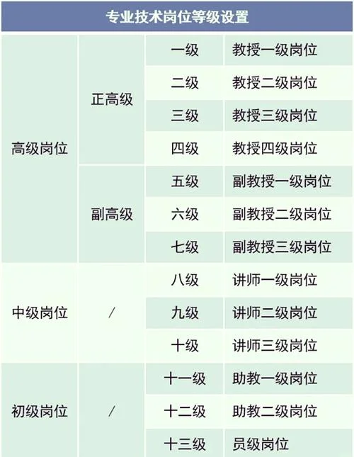 教授分级是哪年开始的_2