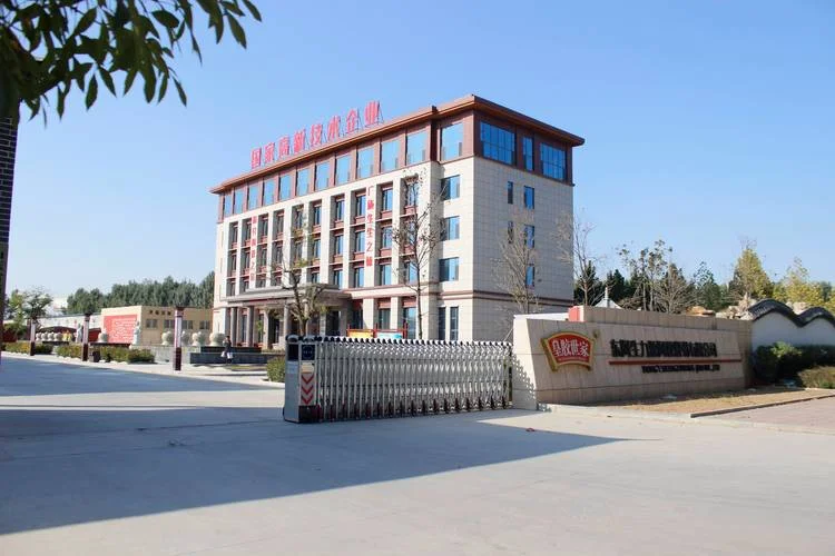 力源是什么公司-力源公司全称