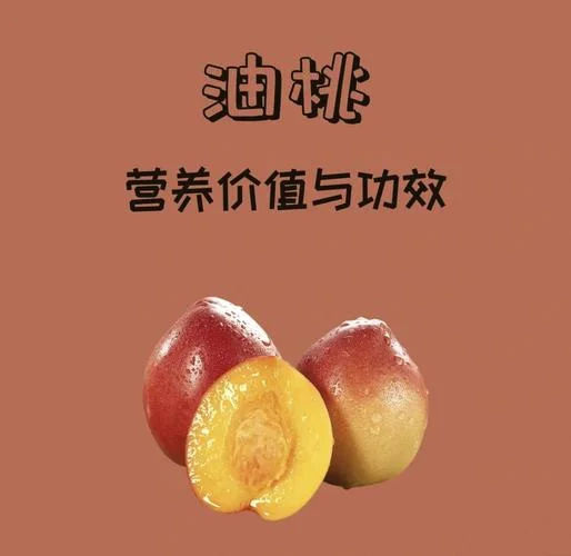 油桃的历史_2