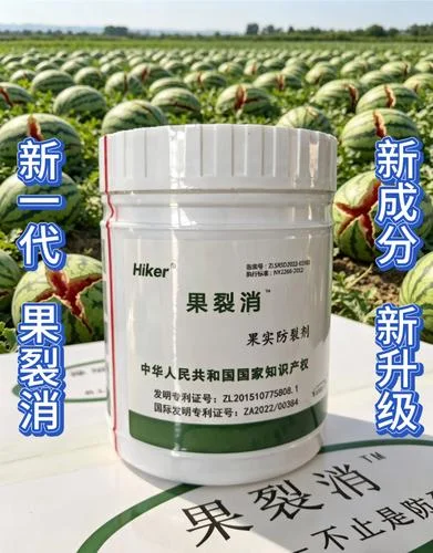 国家发明专利证书查询_1