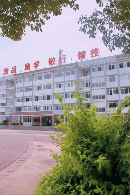 乐山卫校是公办还是民办_1