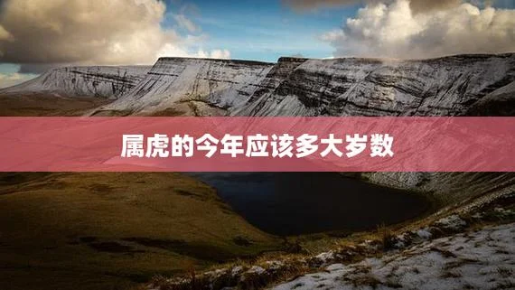 属相虎今年多大了_1