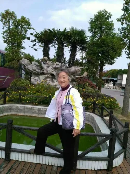 上海到崇明岛多少公里_2
