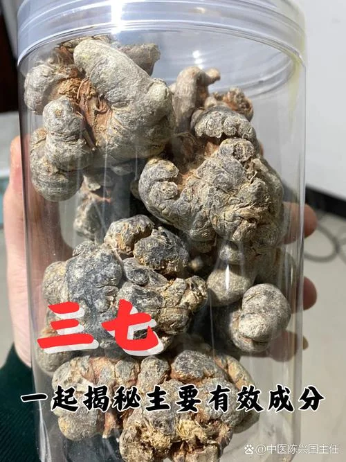 三七是补什么_1