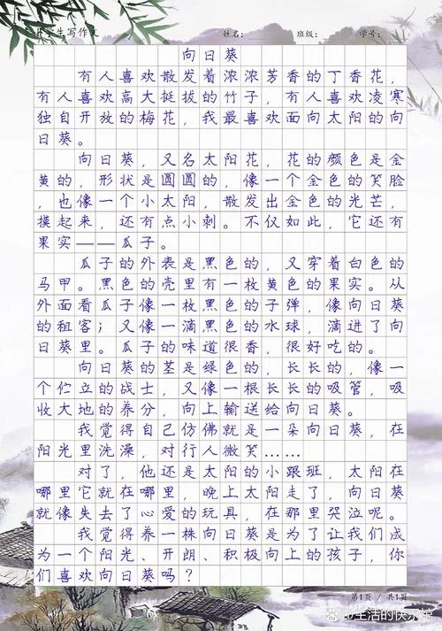 向日葵作文300字怎么写-向日葵作文300字