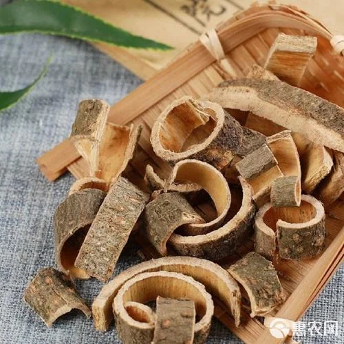 像树皮一样的中药叫什么_1