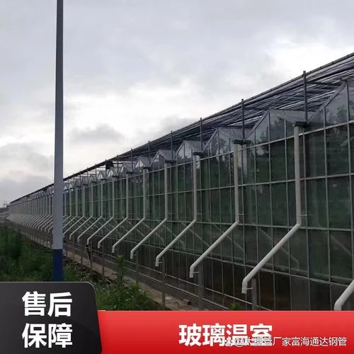 三亩地大棚需要多少钱-三亩大棚造价