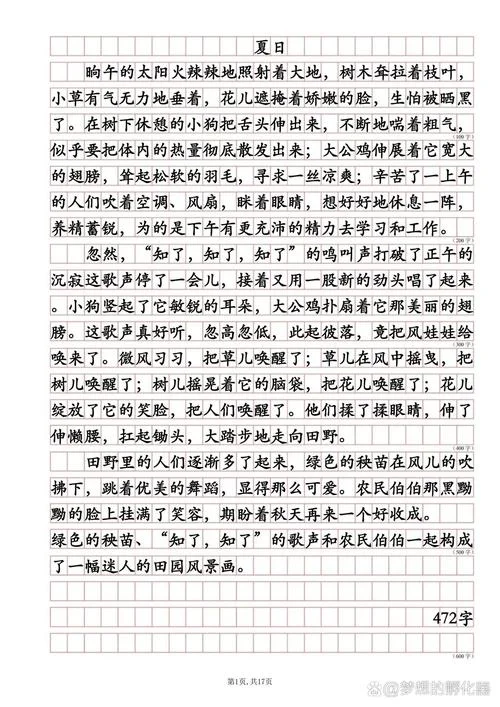 关于夏天的文章和感悟_1