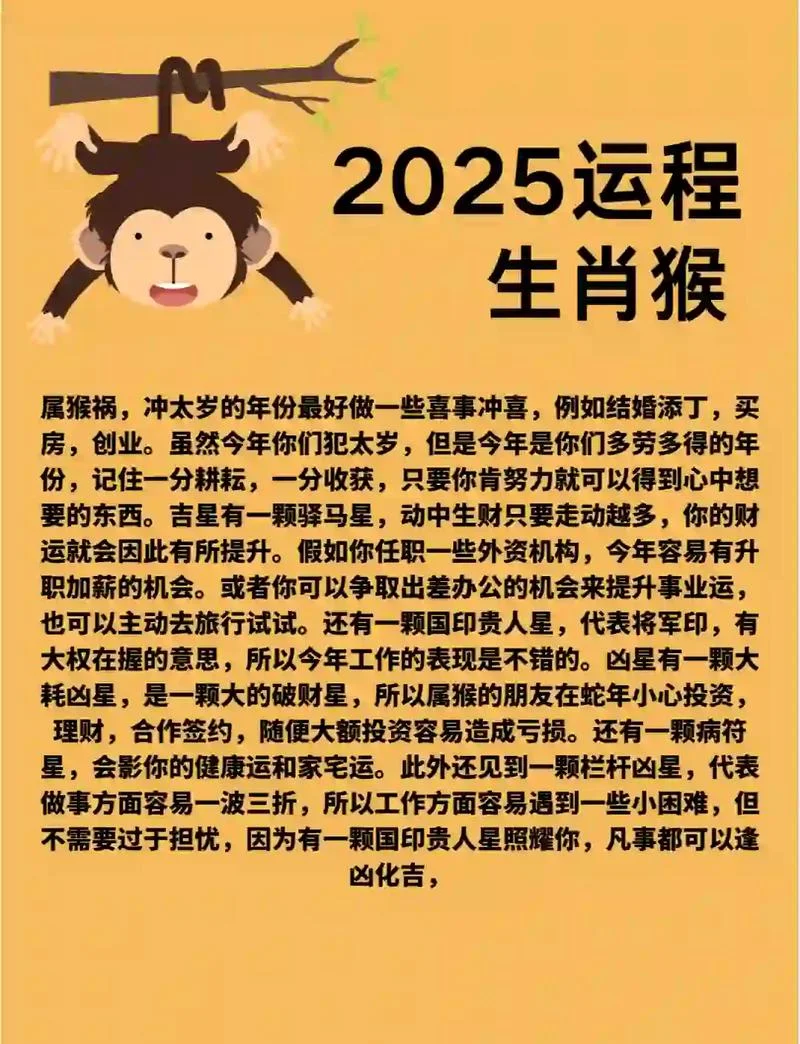 今年猴年又叫什么年_2