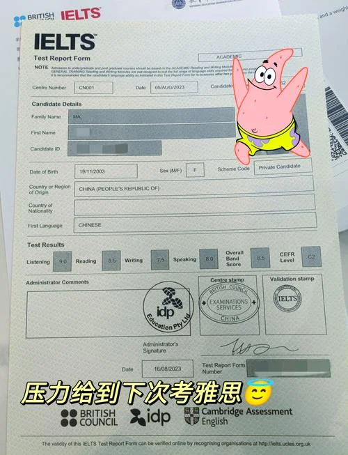 雅思成绩单网页截图_2
