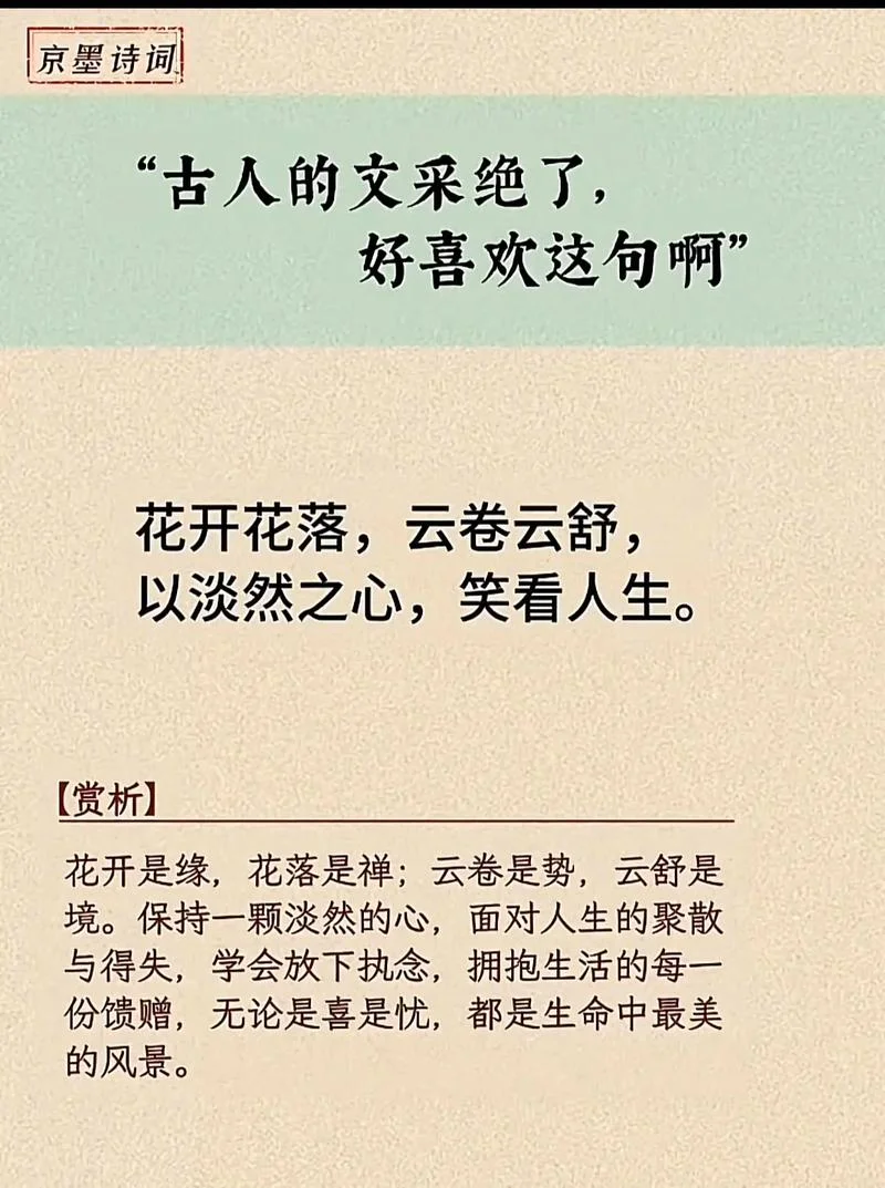淡然一笑全文下一句_2