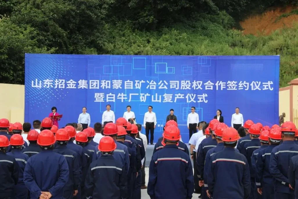 领航心得体会2022_1