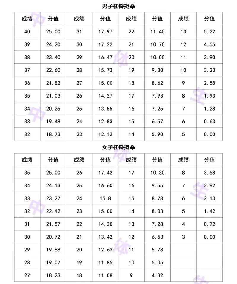 体考评分标准成绩表高考_1