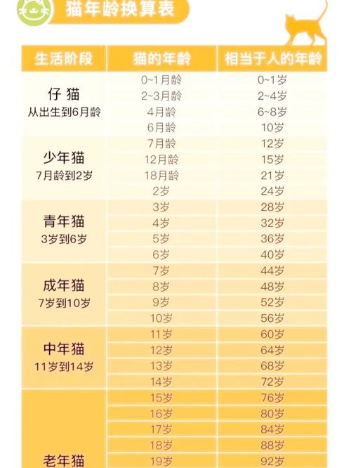 老猫多大了-老猫多大了