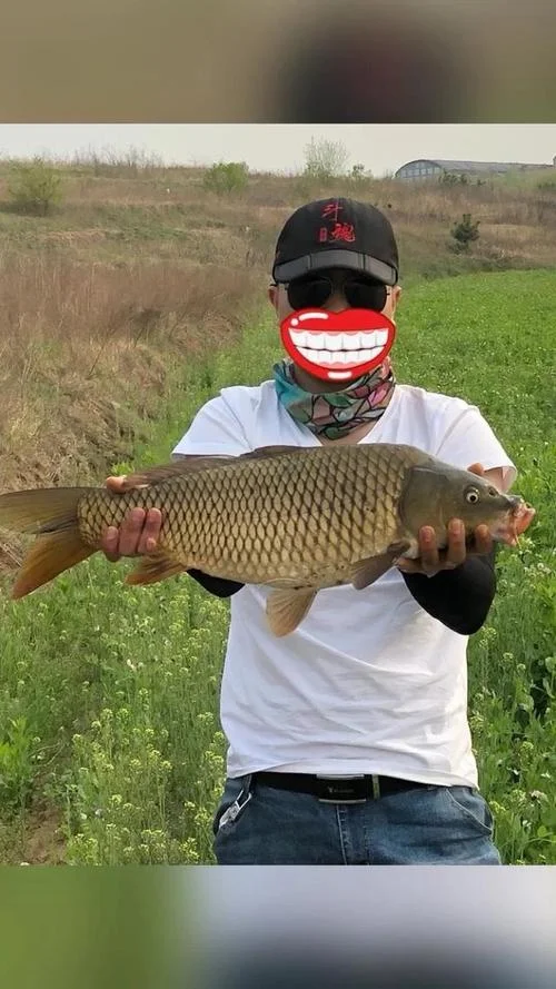 怎么用酒泡玉米粒钓鱼_2
