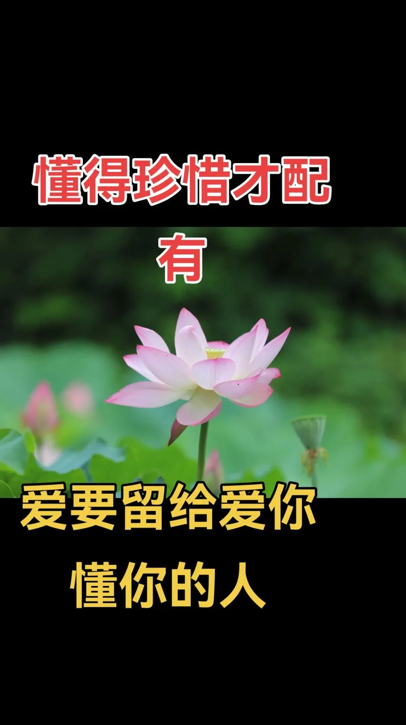 心息相依的出处_1