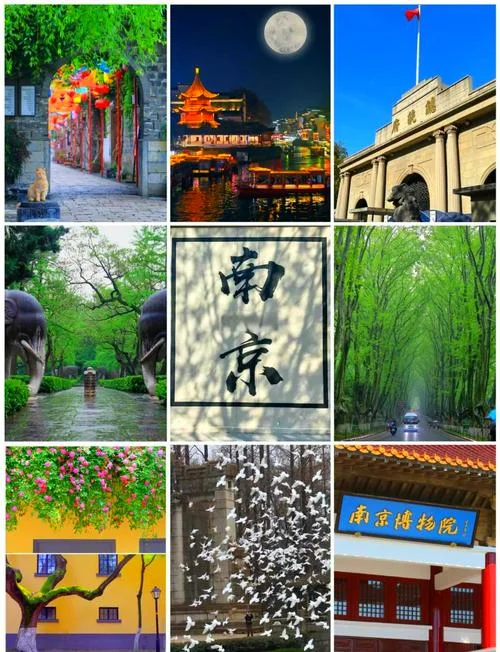 南京景点打卡_2