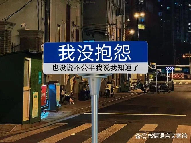 就是爱你没有道理_2