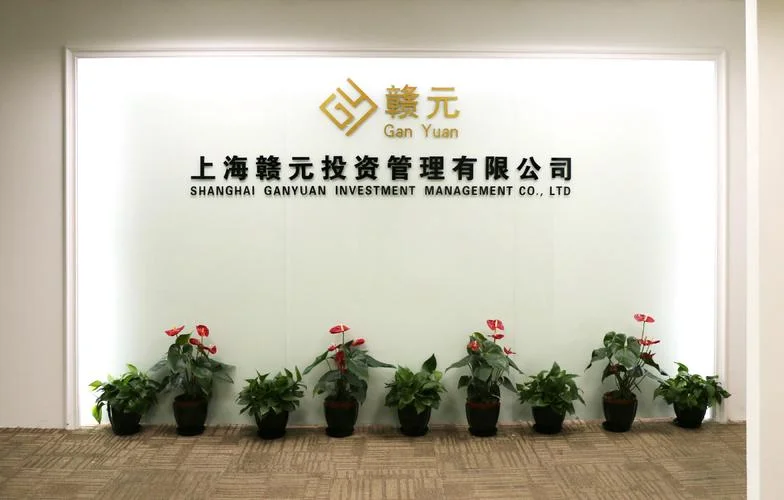 什么是投资有限公司?-什么是投资有限公司？