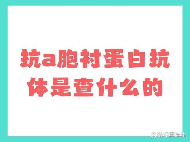 抗体又叫什么_1