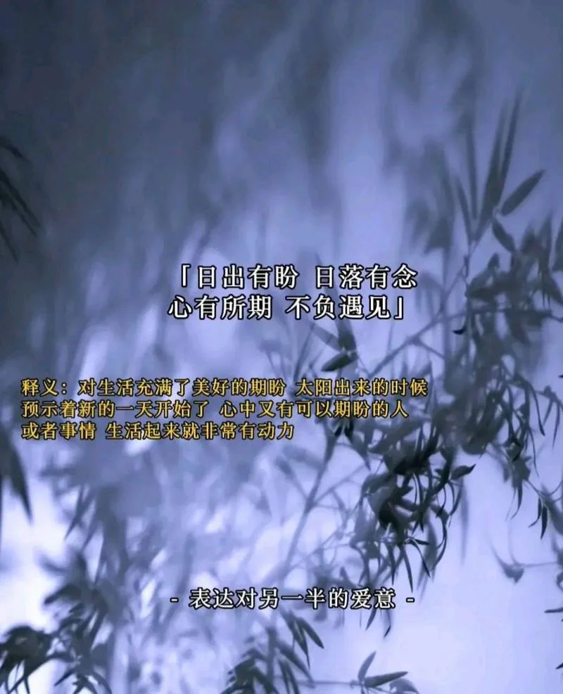 梦见他了_1